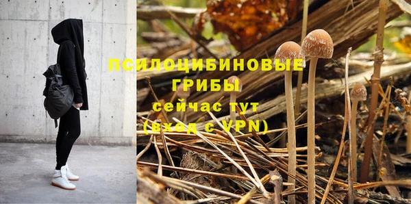 Альфа ПВП Алзамай