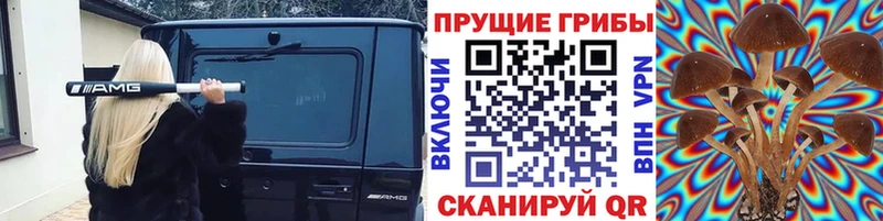 Псилоцибиновые грибы ЛСД  закладки  ОМГ ОМГ рабочий сайт  Королёв 